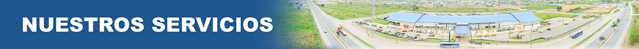 Nuestros servicios